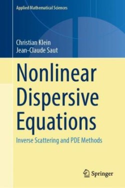 Nonlinear Dispersive Equations