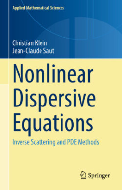 Nonlinear Dispersive Equations