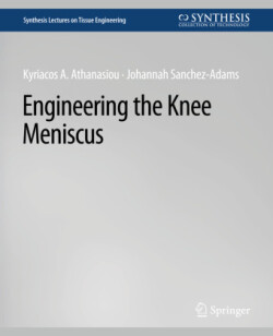 Engineering the Knee Meniscus