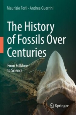 History of Fossils Over Centuries