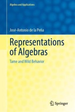 Representations of Algebras