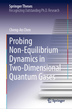 Probing Non-Equilibrium Dynamics in Two-Dimensional Quantum Gases