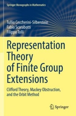 Representation Theory of Finite Group Extensions