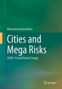 Cities and Mega Risks