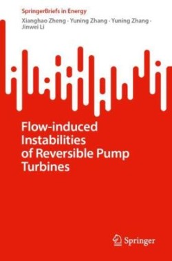 Flow-Induced Instabilities of Reversible Pump Turbines