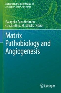 Matrix Pathobiology and Angiogenesis