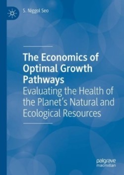 Economics of Optimal Growth Pathways