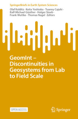 GeomInt—Discontinuities in Geosystems From Lab to Field Scale