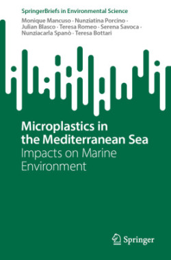 Microplastics in the Mediterranean Sea