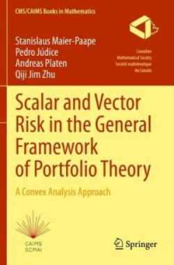 Scalar and Vector Risk in the General Framework of Portfolio Theory