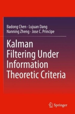 Kalman Filtering Under Information Theoretic Criteria