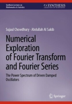 Numerical Exploration of Fourier Transform and Fourier Series