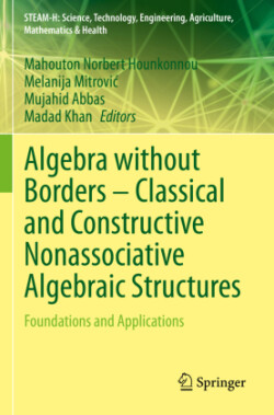 Algebra without Borders – Classical and Constructive Nonassociative Algebraic Structures