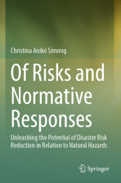 Of Risks and Normative Responses