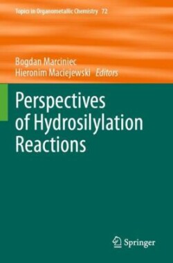 Perspectives of Hydrosilylation Reactions