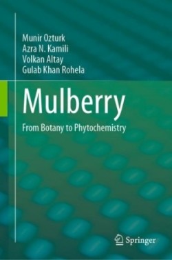 Mulberry