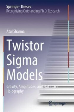 Twistor Sigma Models