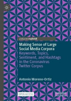 Making Sense of Large Social Media Corpora