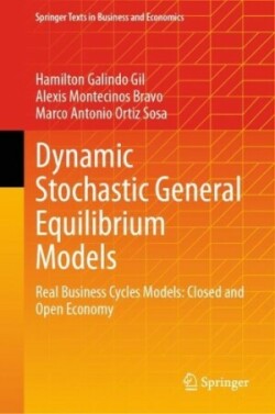 Dynamic Stochastic General Equilibrium Models 