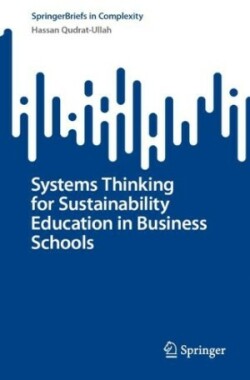 Systems Thinking for Sustainability Education in Business Schools