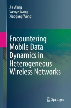 Encountering Mobile Data Dynamics in Heterogeneous Wireless Networks