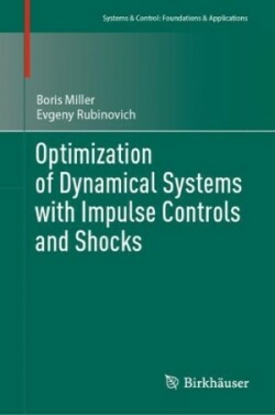 Optimization of Dynamical Systems with Impulse Controls and Shocks