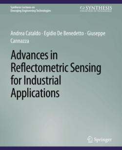 Advances in Reflectometric Sensing for Industrial Applications