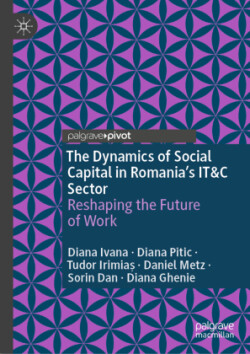 Dynamics of Social Capital in Romania’s IT&C Sector