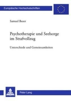 Psychotherapie Und Seelsorge Im Strafvollzug