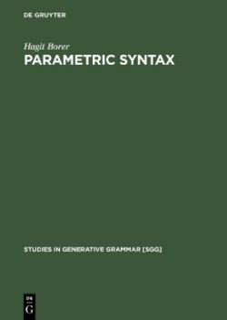 Parametric Syntax Case Studies in Semitic and Romance Languages