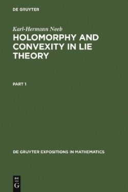 Holomorphy and Convexity in Lie Theory