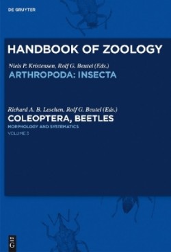 Arthropoda: Insecta: Coleoptera