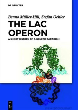 The lac Operon