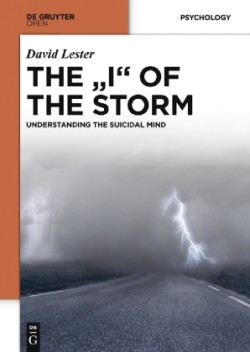 "I" OF THE STORM