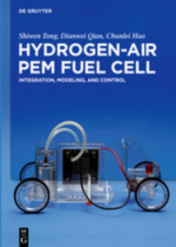 Hydrogen-Air PEM Fuel Cell