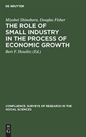 role of small industry in the process of economic growth