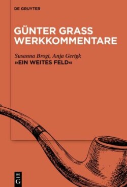 Günter Grass Werkkommentare, Bd. Band 5, »Ein weites Feld«