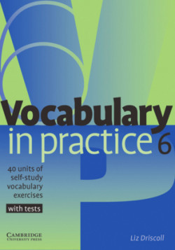 Vocabulary in practice. Vol.6