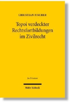 Topoi verdeckter Rechtsfortbildungen im Zivilrecht