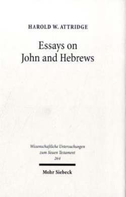 Essays on John and Hebrews