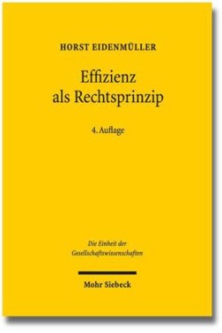 Effizienz als Rechtsprinzip