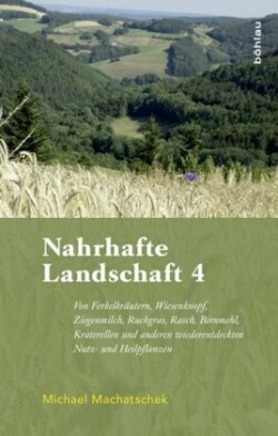 Nahrhafte Landschaft 4