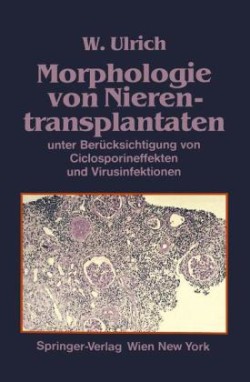 Morphologie von Nierentransplantaten