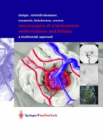 Neurosurgery of Arteriovenous Malformations and Fistulas