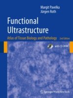 Functional Ultrastructure