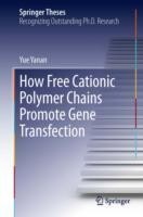 How Free Cationic Polymer Chains Promote Gene Transfection