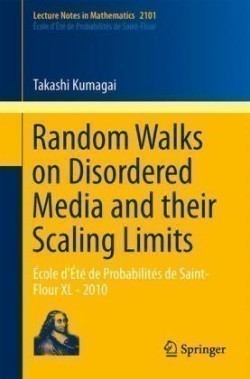 Random Walks on Disordered Media and their Scaling Limits