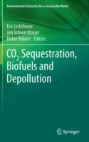 CO2 Sequestration, Biofuels and Depollution