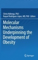 Molecular Mechanisms Underpinning the Development of Obesity