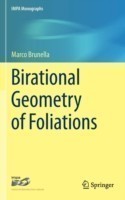 Birational Geometry of Foliations